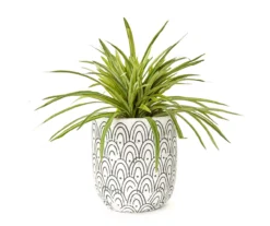 Grass In Arch Pattern Pot